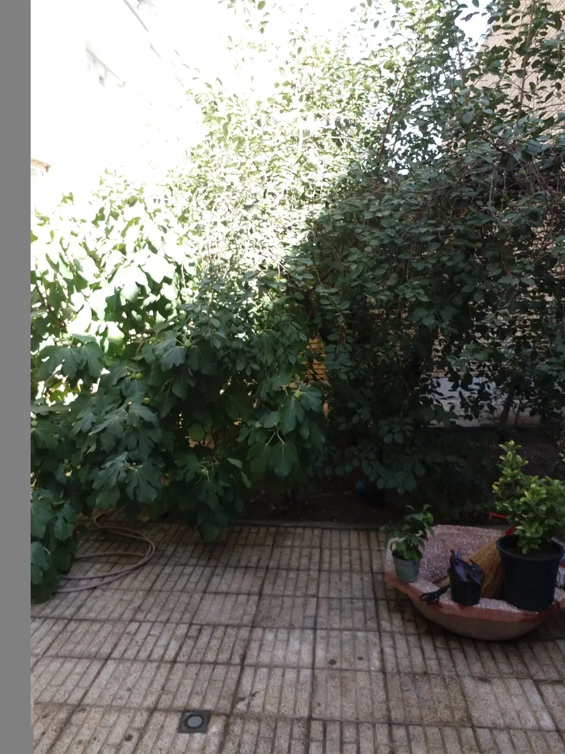 اجاره در زعفرانیه