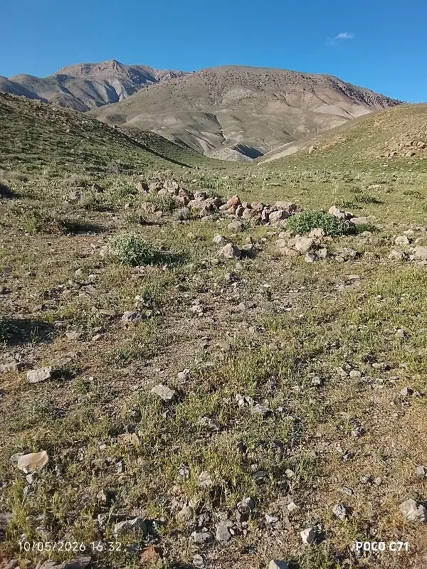 خانه در رسالت غربی ۱۵