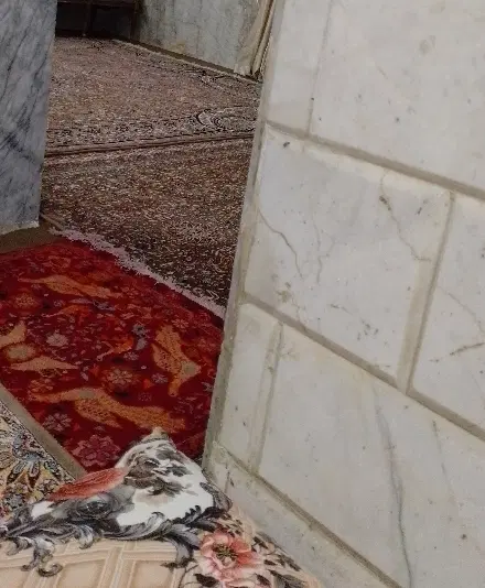 اجاره منزل اپارتمانی