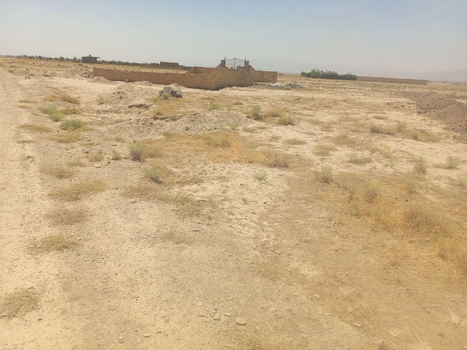 زمین کشاورزی روستای محمدیه