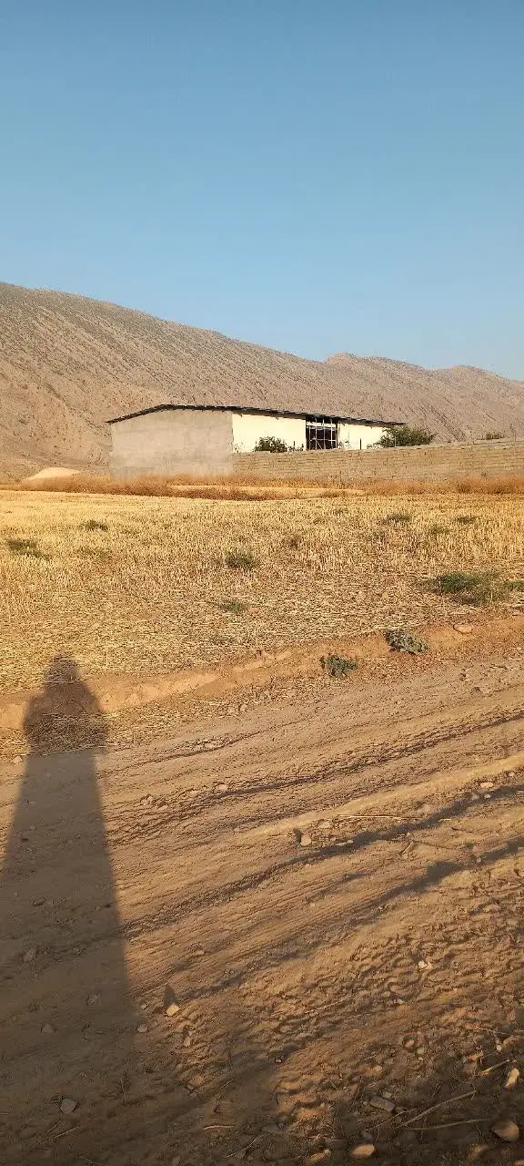 زمین مناسب باغچه کاسکان