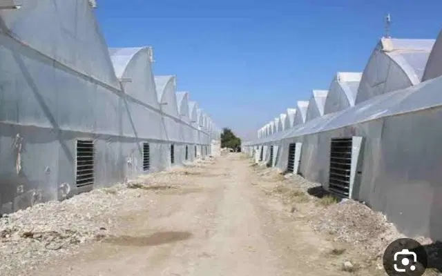 زمین گلخانه