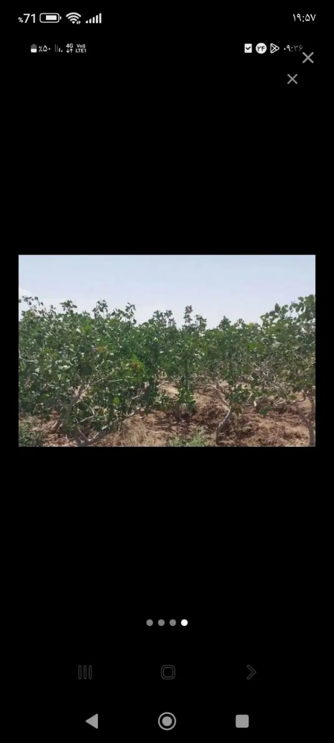 فروش آب کشاورزی