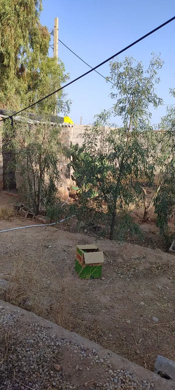 خانه باغ روستایی