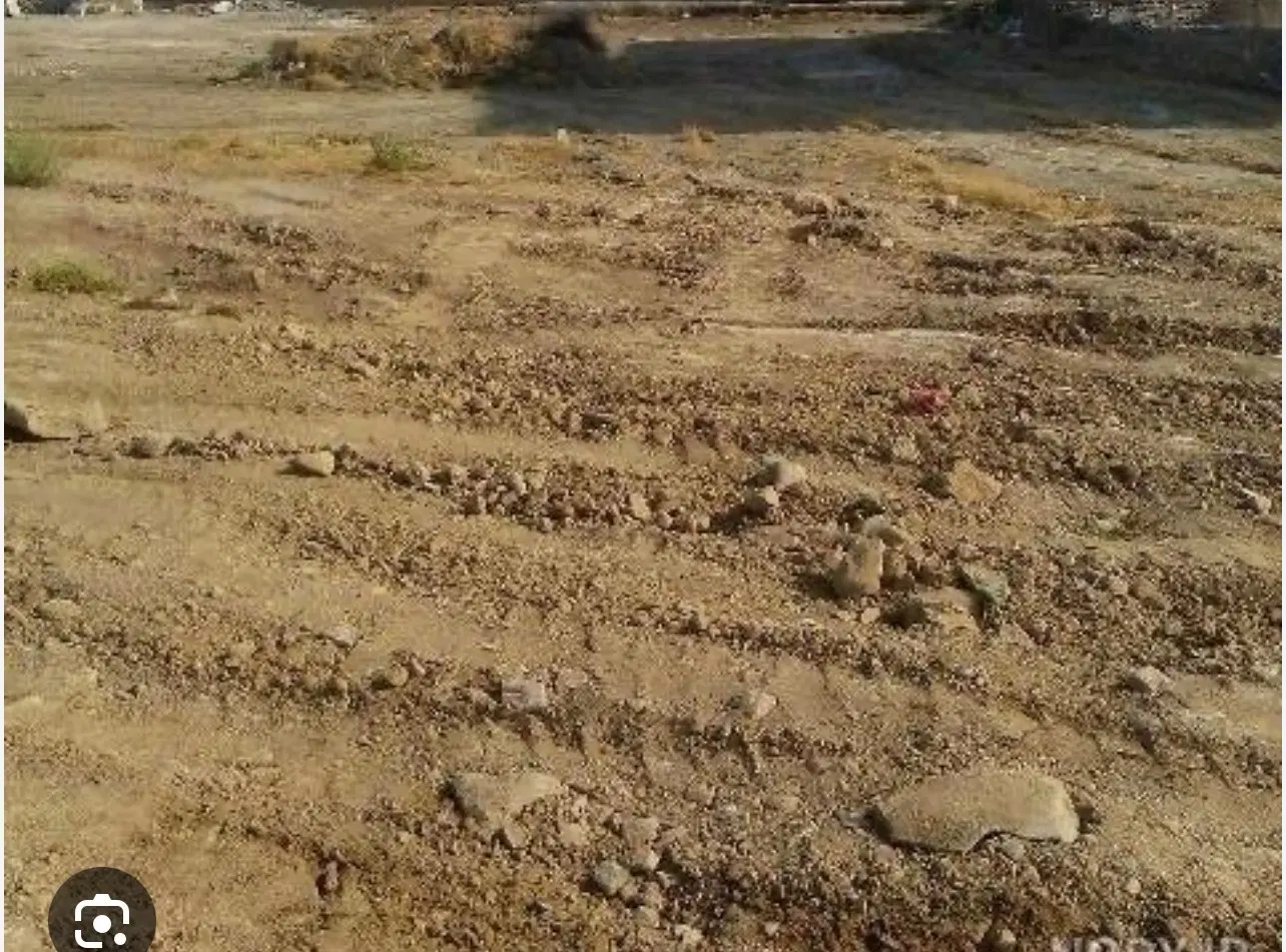 زمین مسکونی
