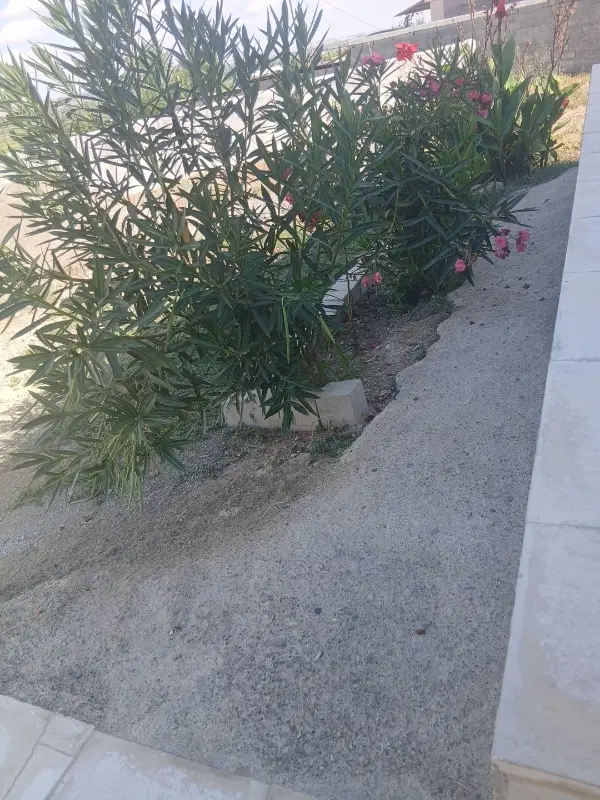 اجاره یک باب خانه مسکونی در اناخاتون گلستان ۲