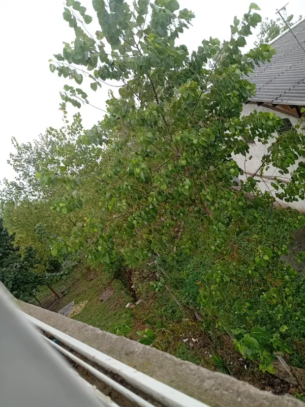 خونه ویلا سرایداری