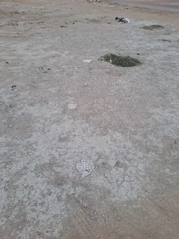 واگذاری زمین