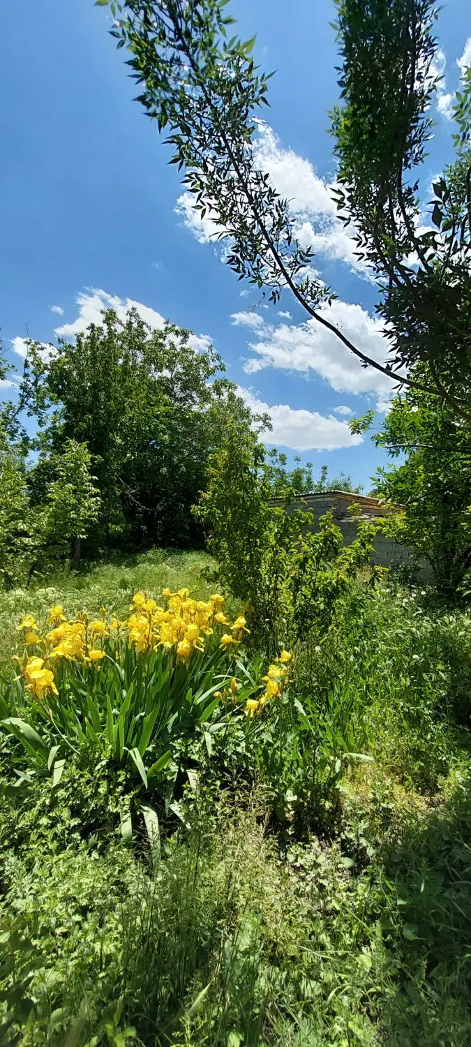 خونه باغ باغچه