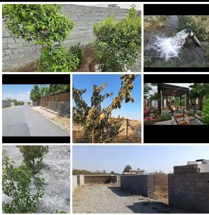 فقط با ۲۰۰ میلیون صاحب باغ شوید