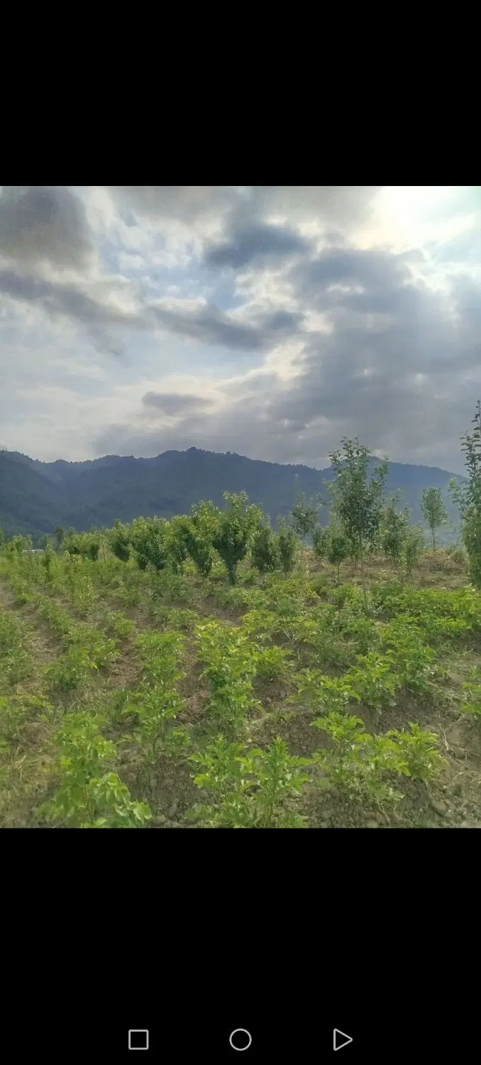زمین مسکونی.روبروو شهدا