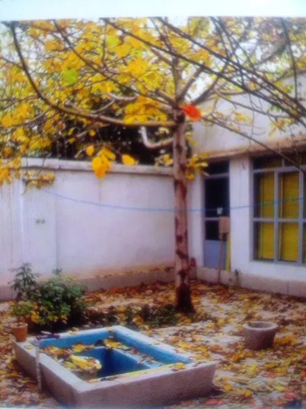 اجاره منزل ویلایی واقع در  حاجی آباد