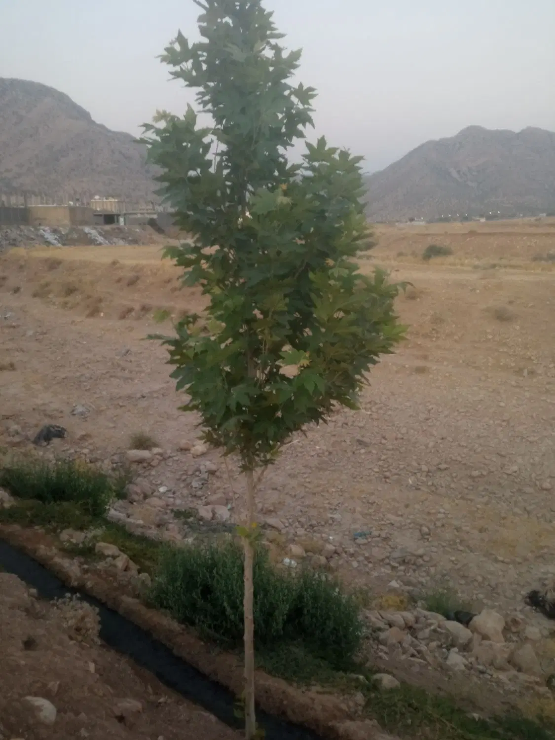 فروش زمین