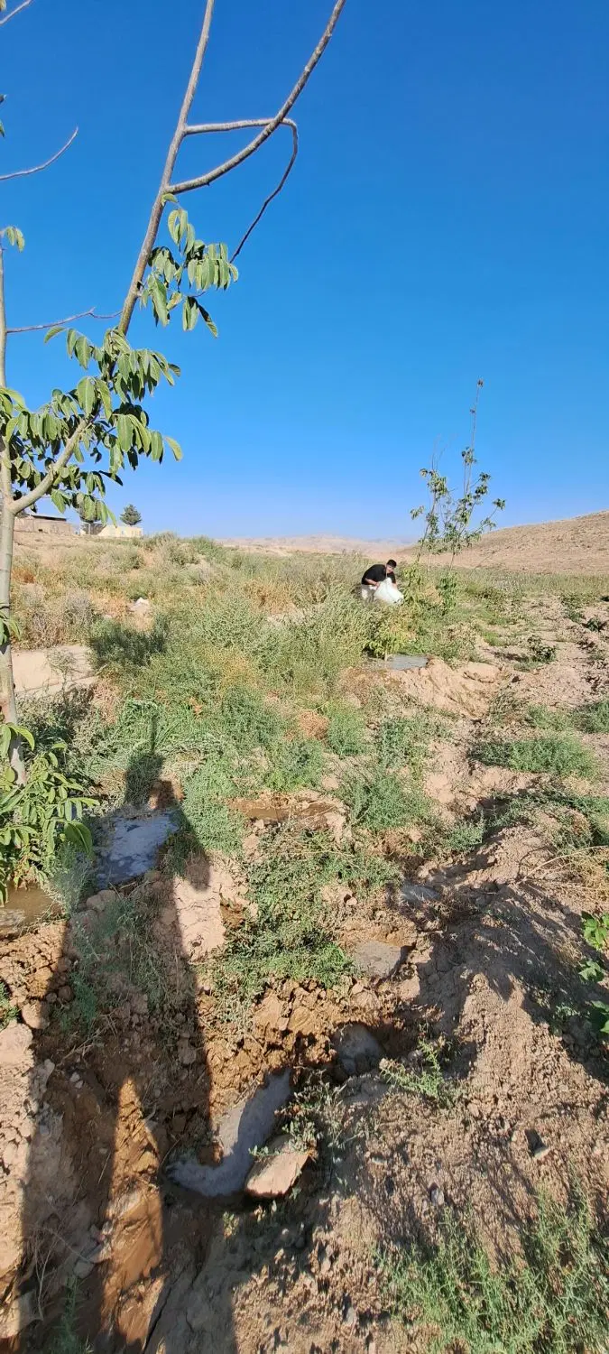 ۱۲ من زمین کشاورزی