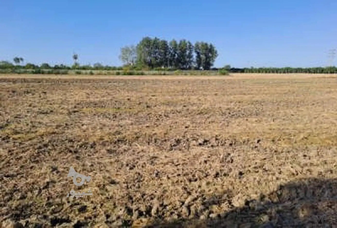 زمین زراعی