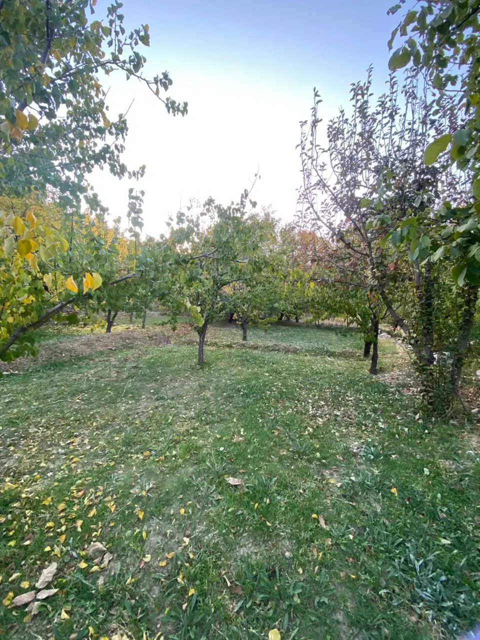 باغ ویلایی اسکو