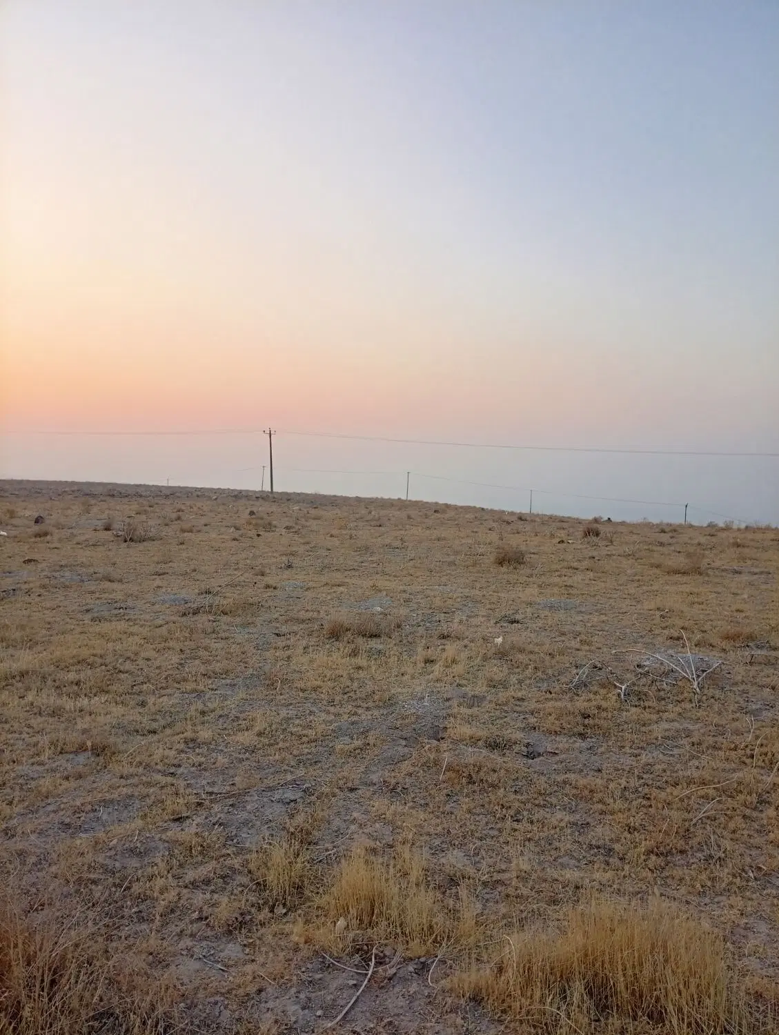 زمین زراعی
