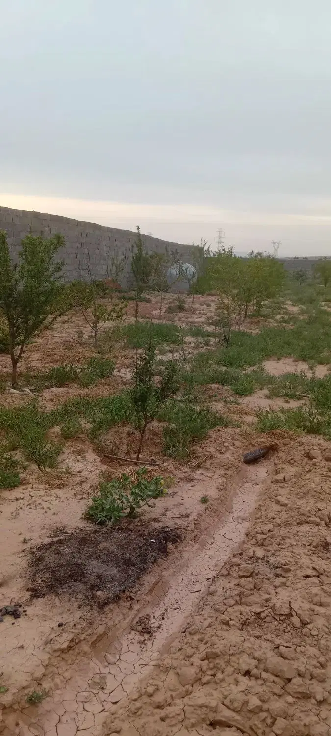 باغ وویلادر برزش اباد