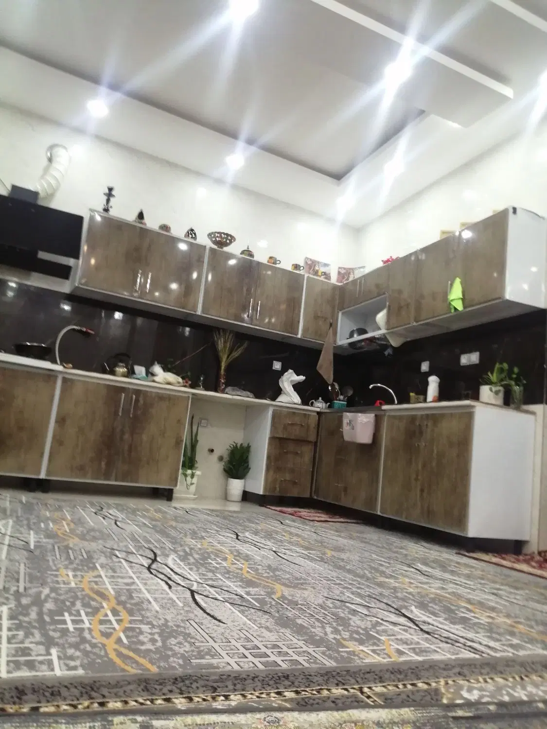 شاپورجان گوچه 39
