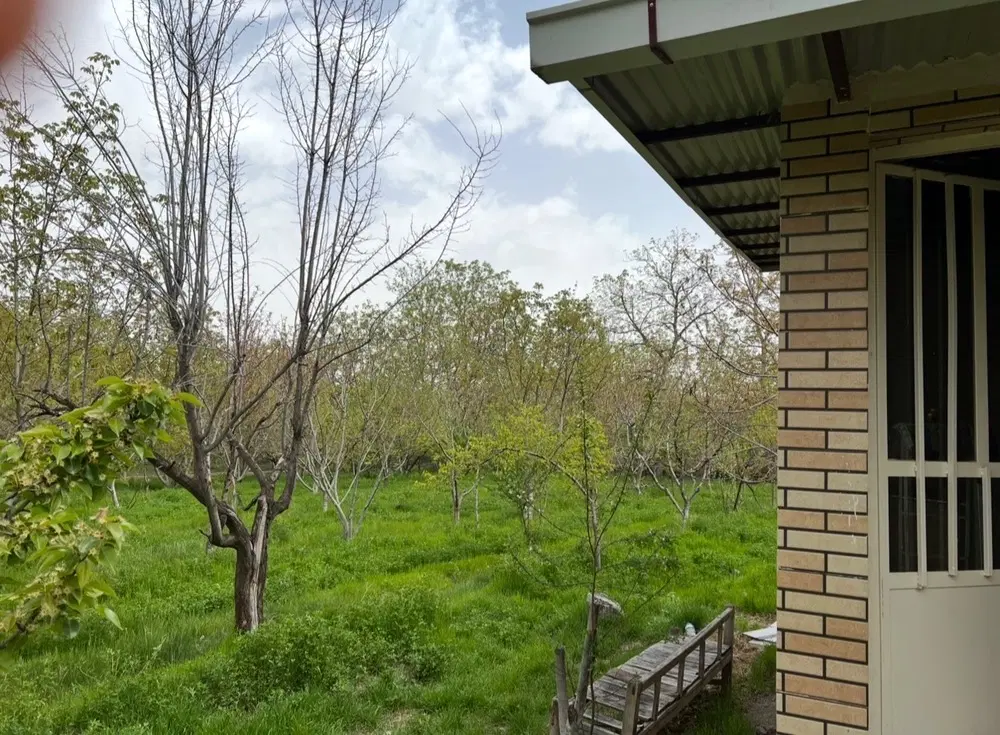 فروش باغ سرسبز در روستای کندلج