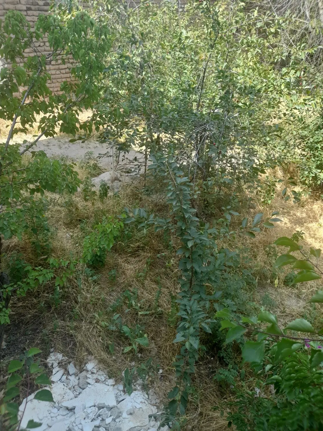 خانه ویلایی ۵۰۰متری