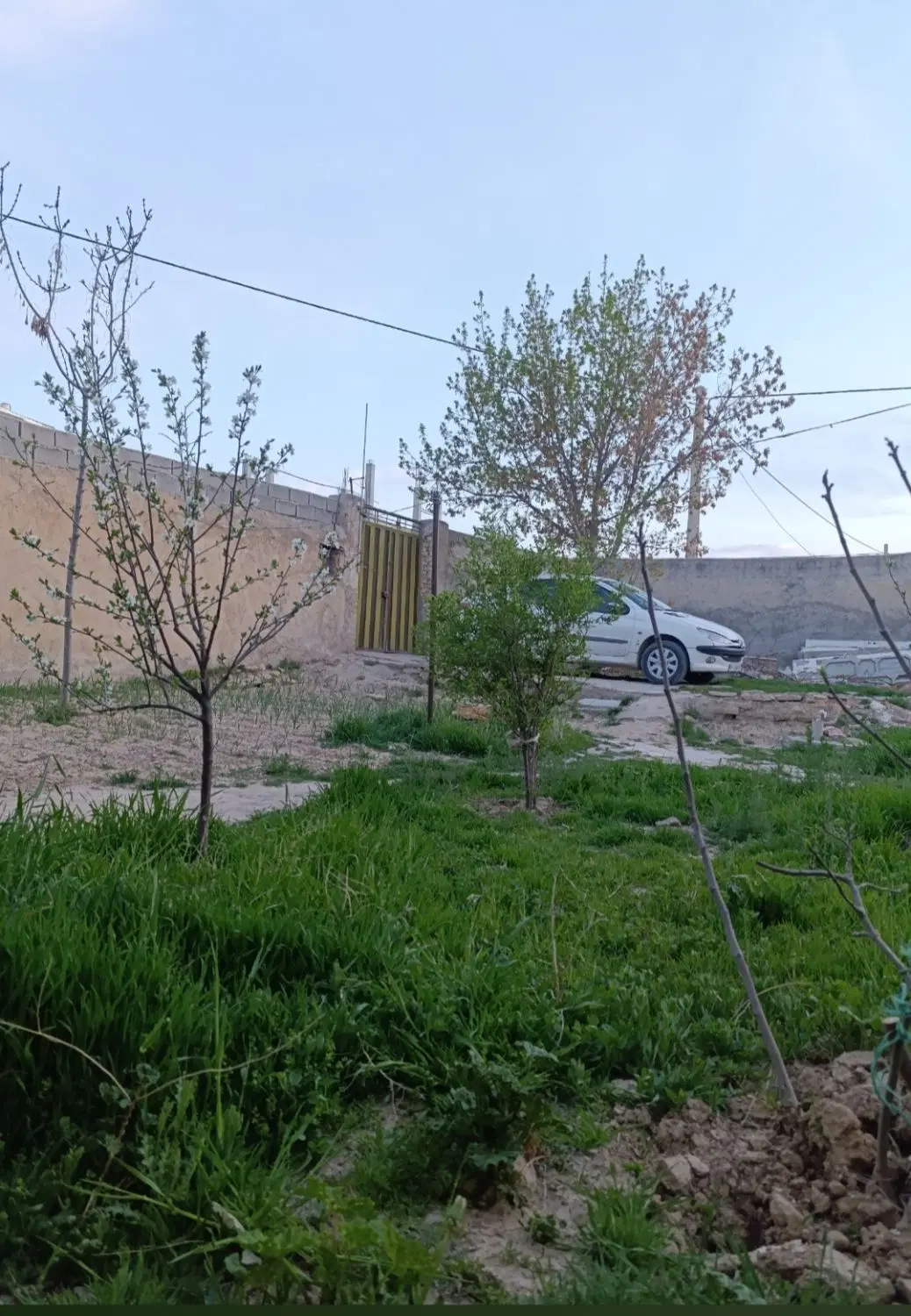 252متر زمین چهاردیواری دونبش نیروگاه علی نجفی
