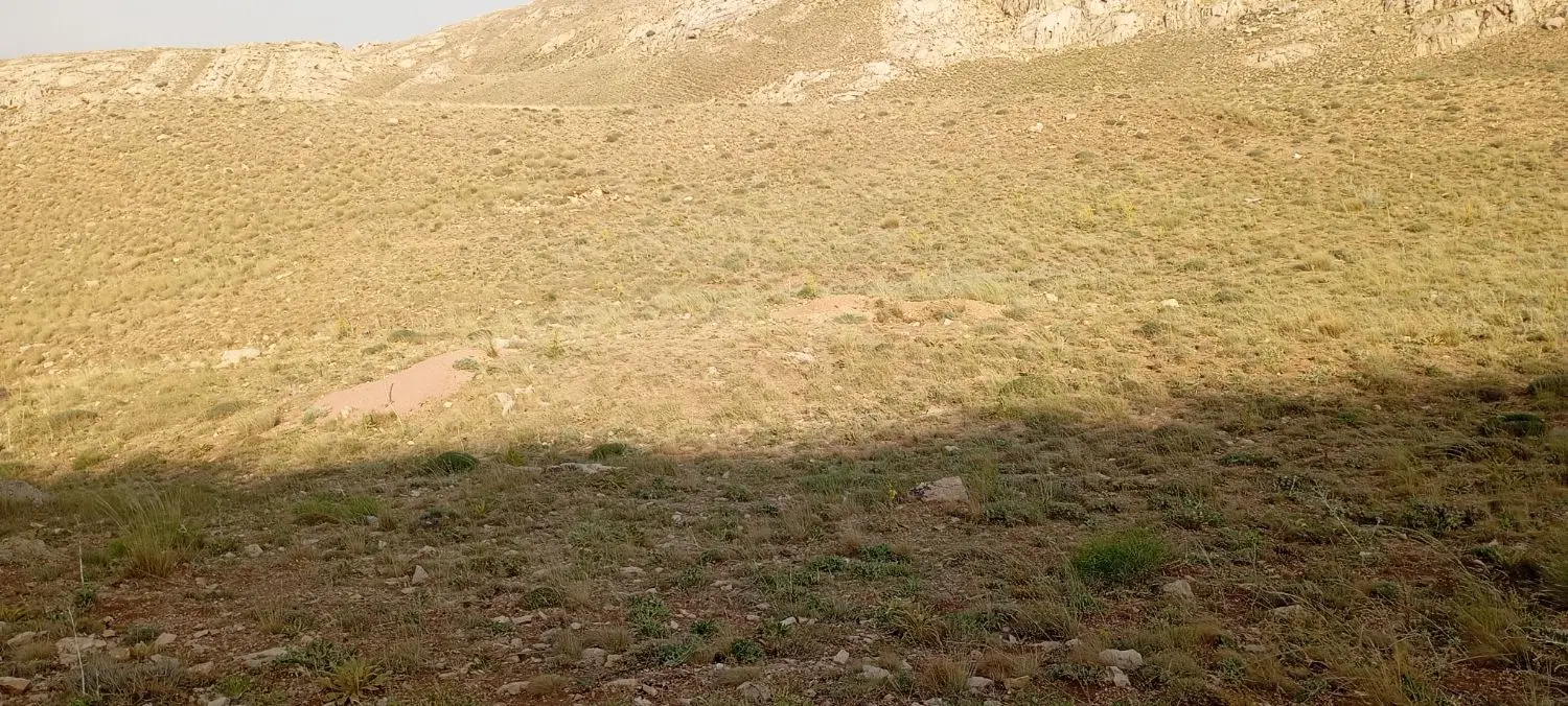 زمین شهرک حصار