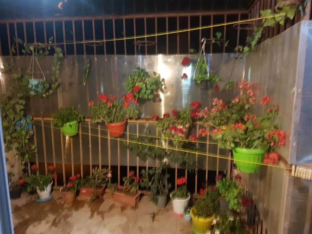88 متری هوشنگ مرادی نزدیگ میدان گاندی
