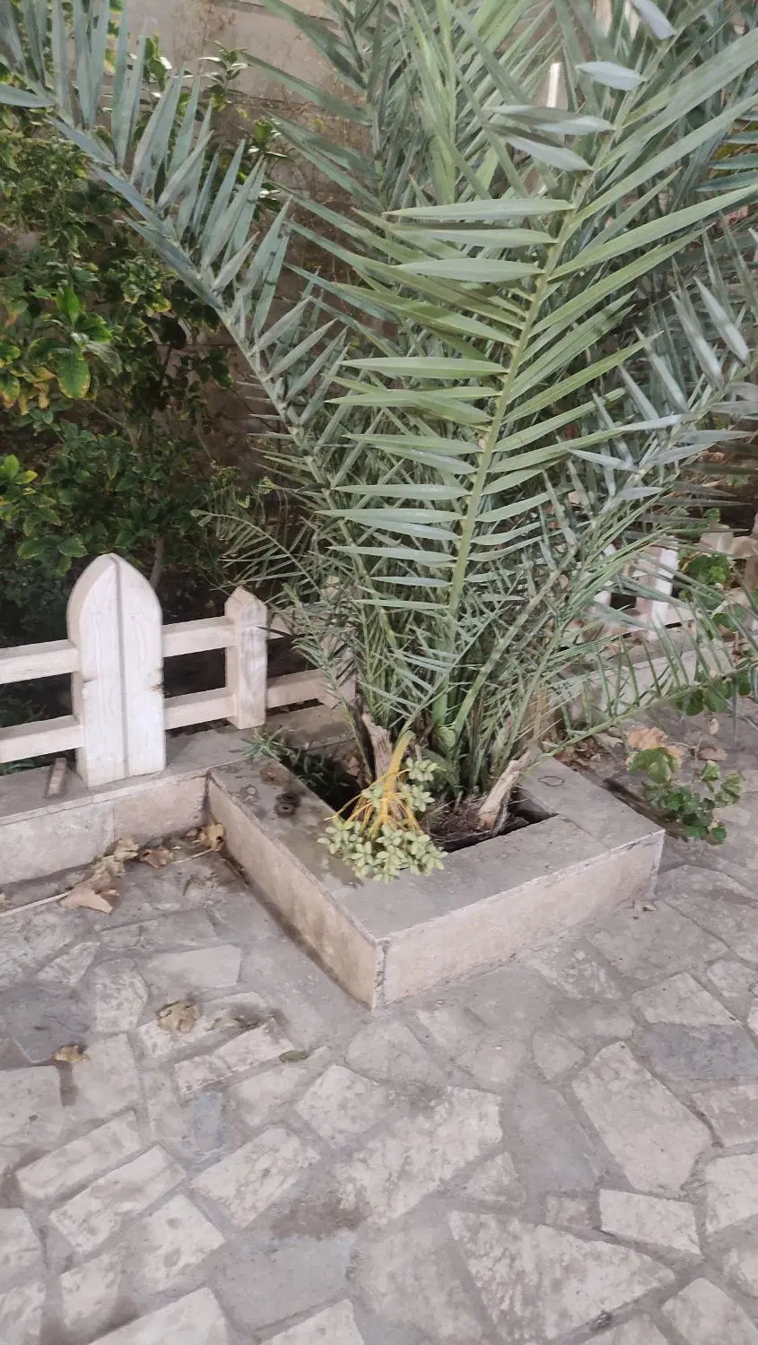 خونه باغ