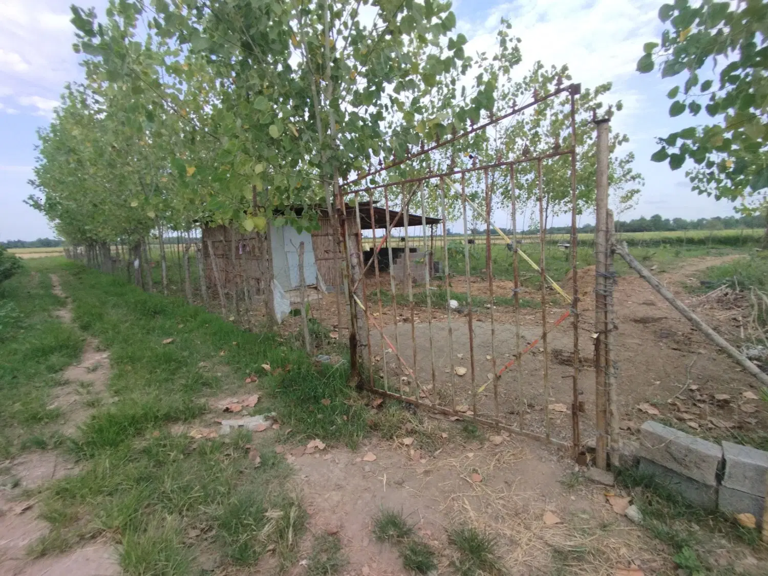 زمین سرمایه گذاری 2000 متری در خشک اسطلخ