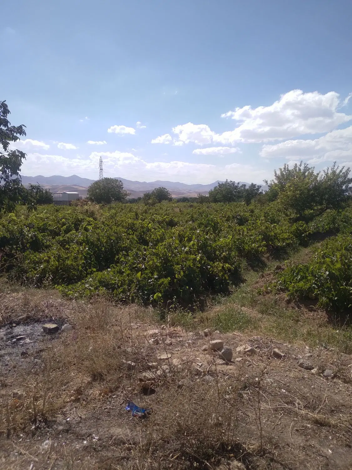 باغ شخصی ۹۰۰۰ متری لب اتوبان سندتکبرگ
