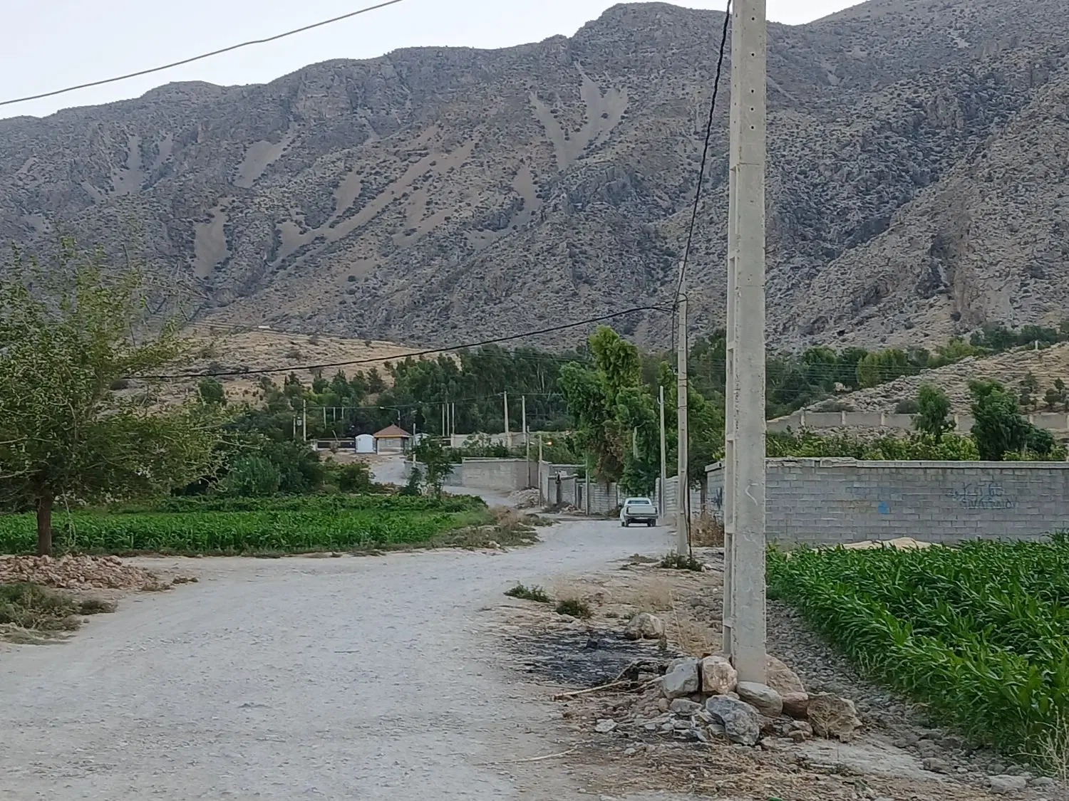 زمین باغی