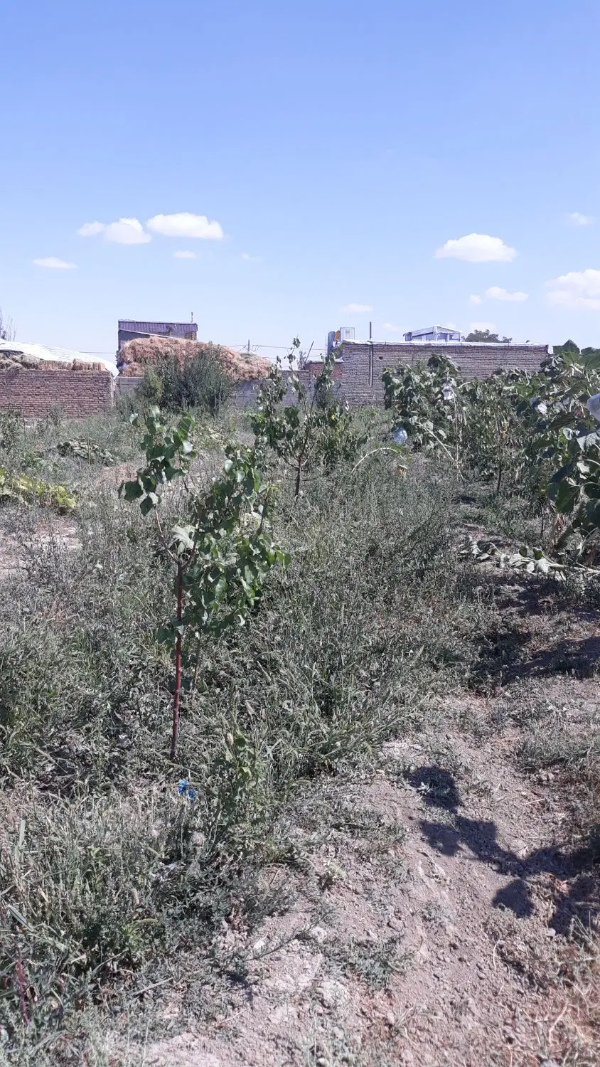 زمین ویلای متراژ ۱۱۵۰مترقیمت هر متر۱۵۵۰۰۰۰۰ تومان