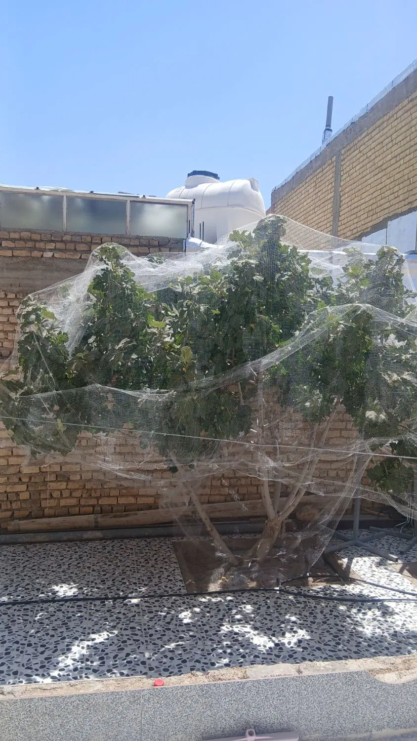 خانه ویلایی جهت رهن اجاره