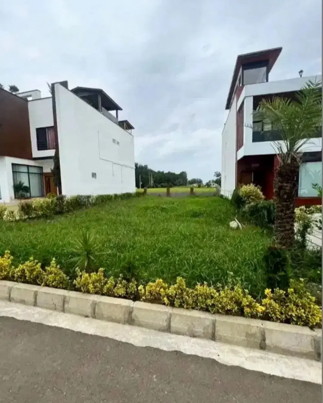۳۱۰مترطلای ۲۴اعیارباسندوجوازساخت