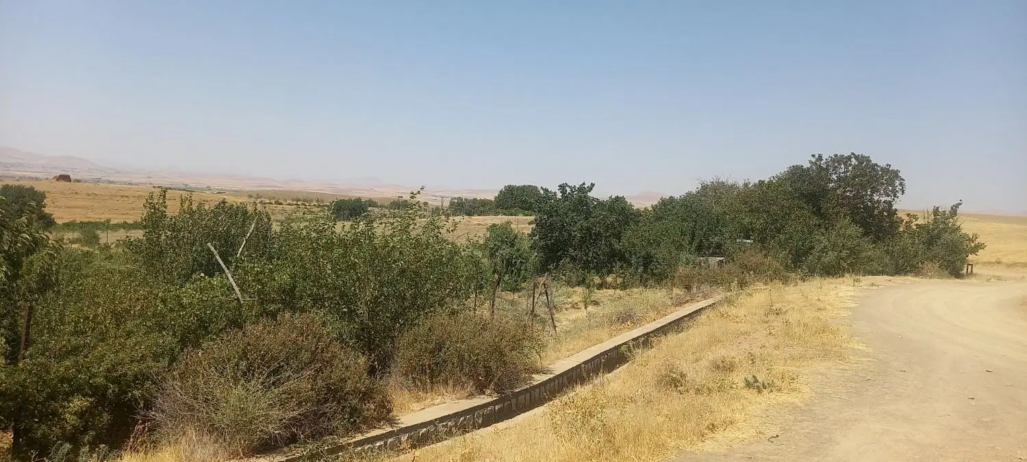 مسکن ملی الزهرا