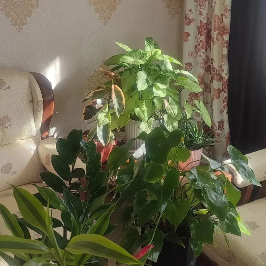 آپارتمان سه بر فول تاپ لوکیشن
