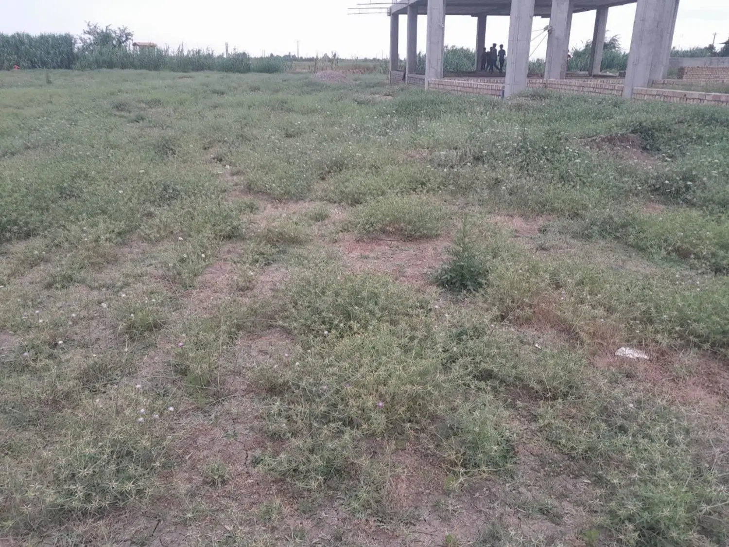 زمین مسکونی
