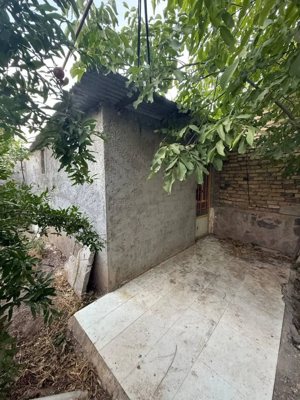 باغ ویلا ۱۲۰۰متری دارای انواع درختان بارده