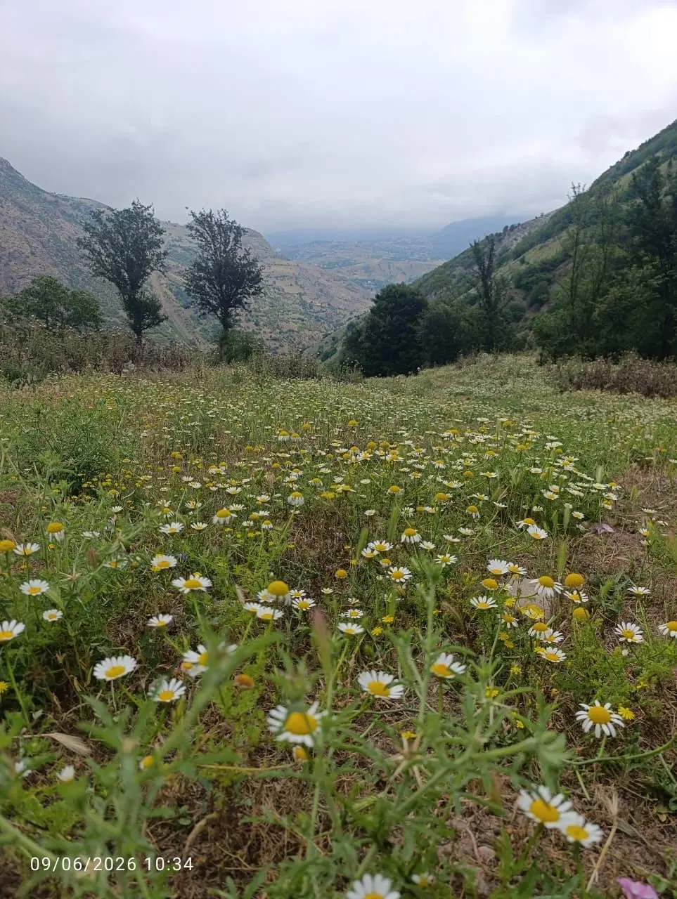 زمینی به متراژ ۵۰۰ متر دارای آب چشمه