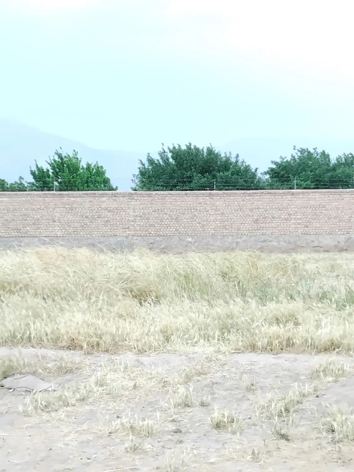 باغ فروشی روستای قلعه نو علیرضابیک  فوری