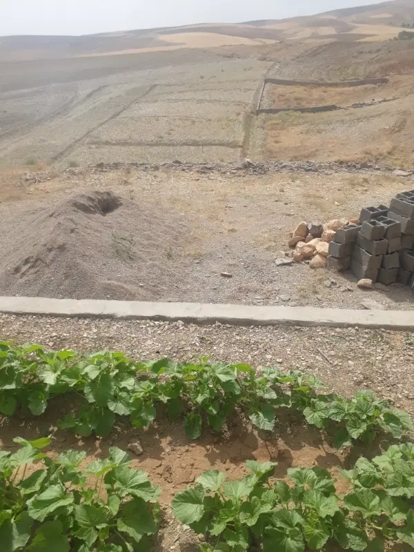 زمین مسکونی در سهرورد