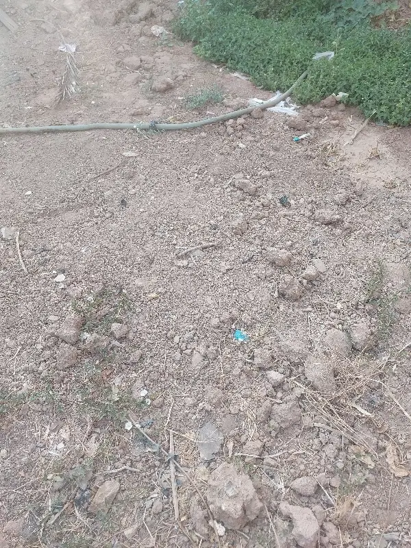 آب و زمین کشاورزی