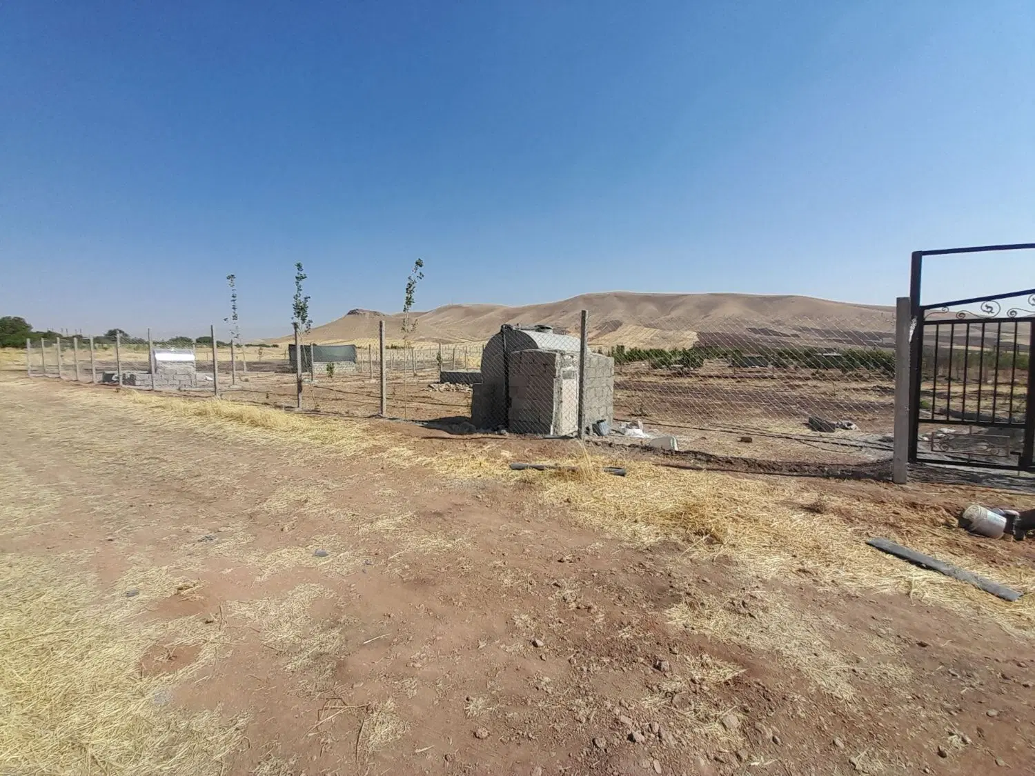 زمین باغ