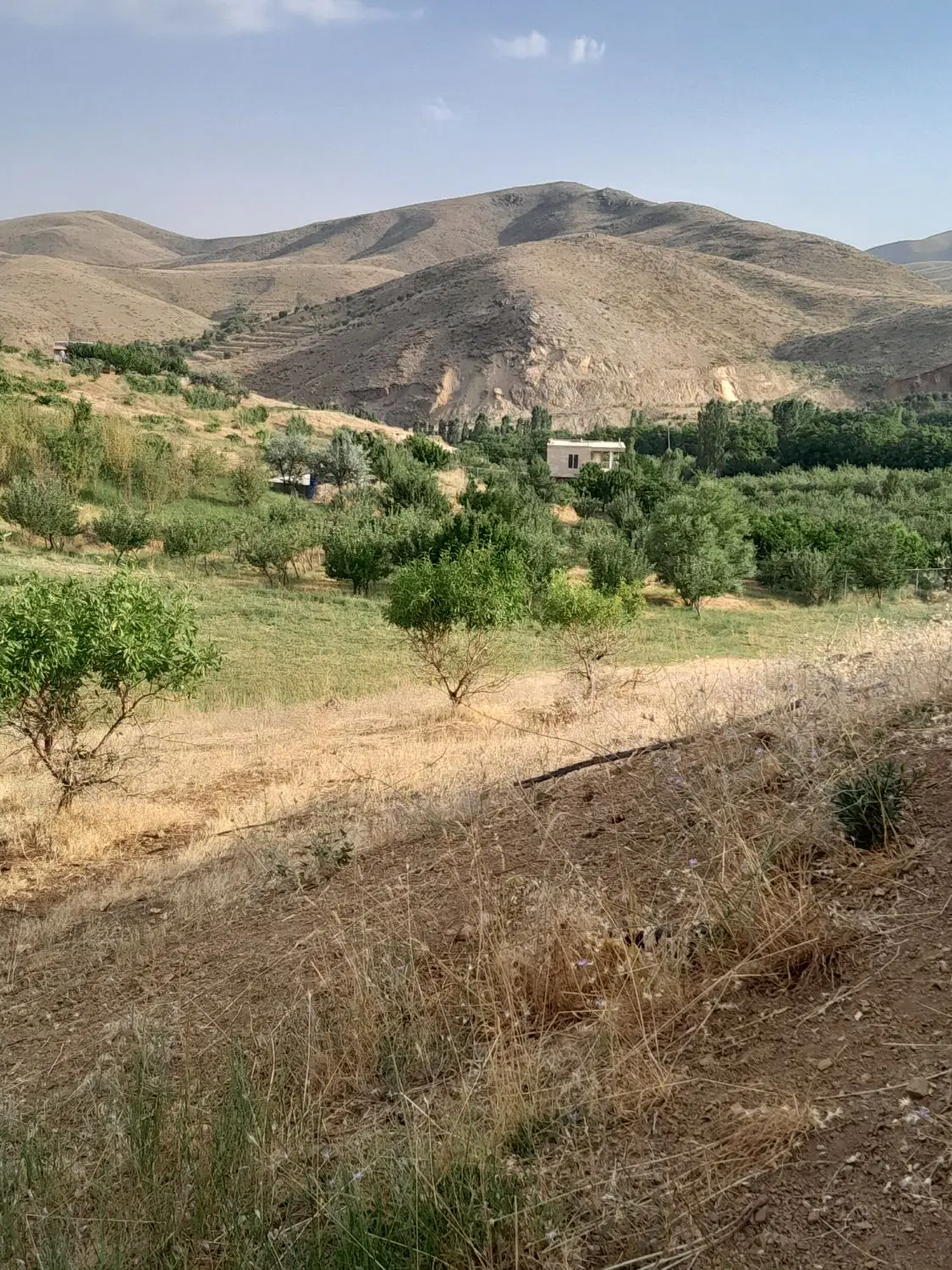 فروش زمین ۲۰۰۰متری گزگزاره صفلی