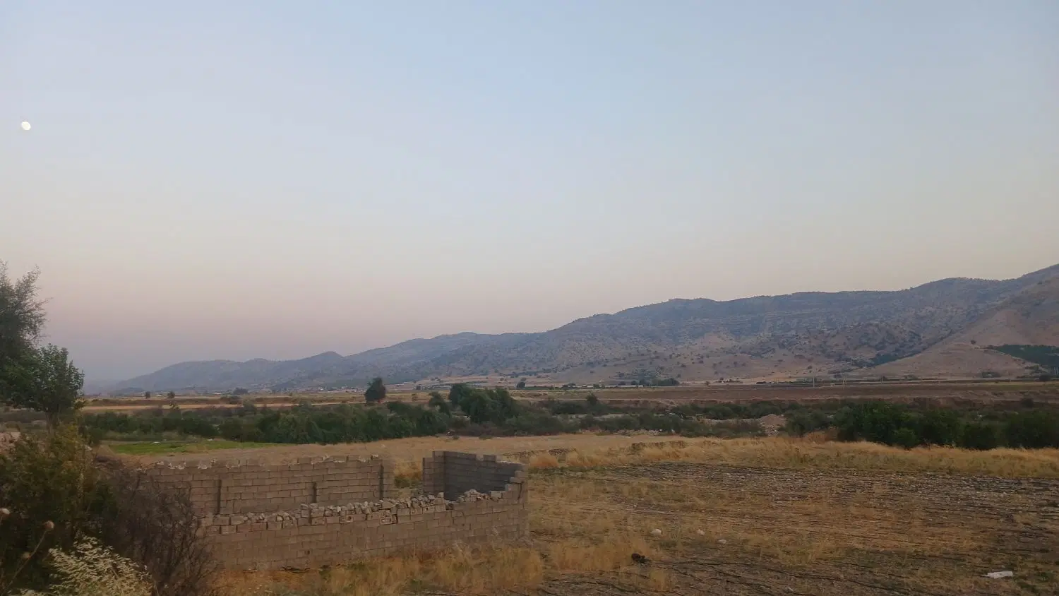 زمین