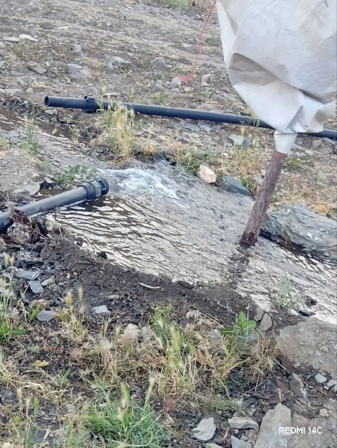 زمین کشاورزی