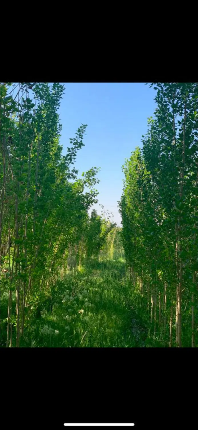 زمین فروشی