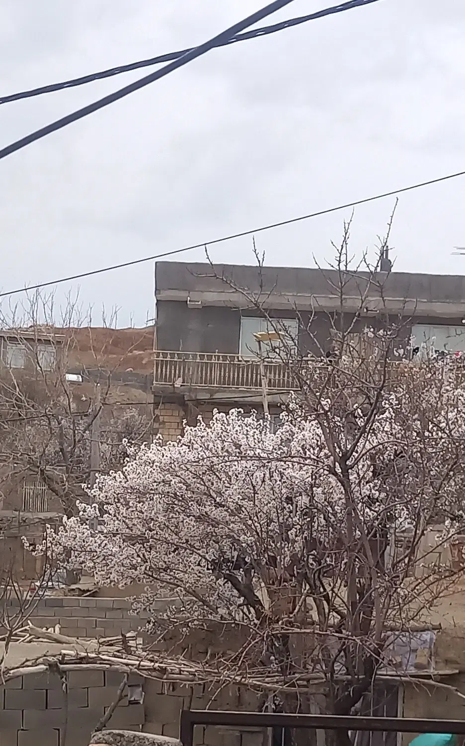 خانه اجاره ای