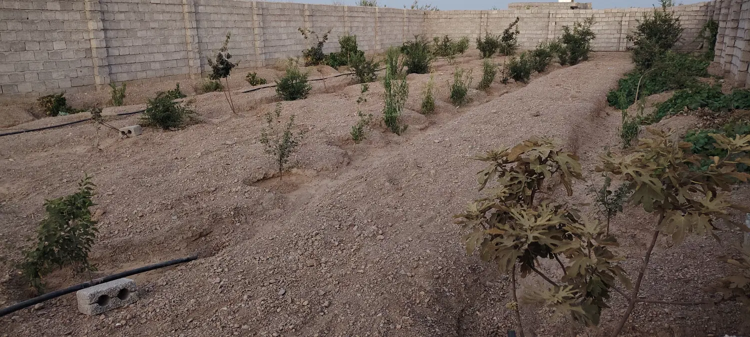 باغ